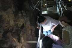0cd38a0c-1d6a-4dd6-a734-07aada4ae84a
