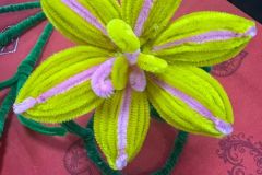 607783242_1245274430995592_1594283443420268570_n